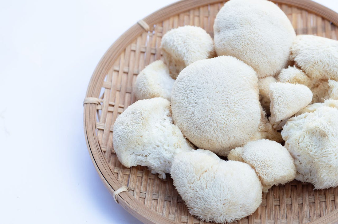 Fresh Lion's Mane Mushrooms