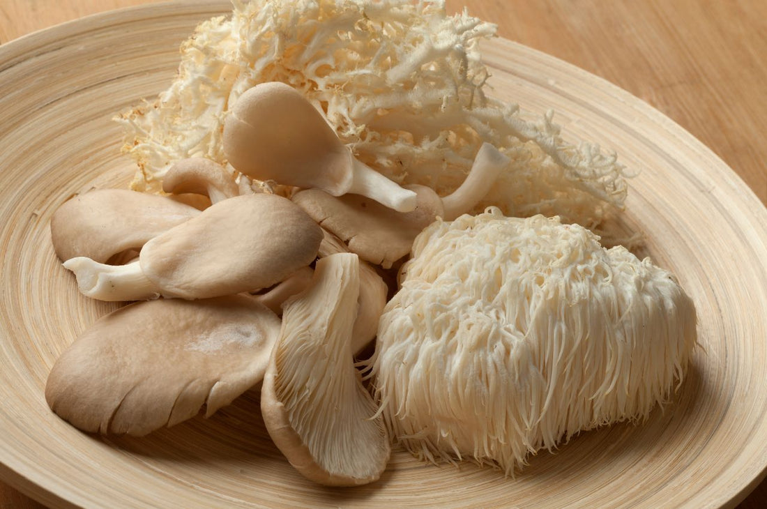  Legality of Lion's Mane Mushrooms