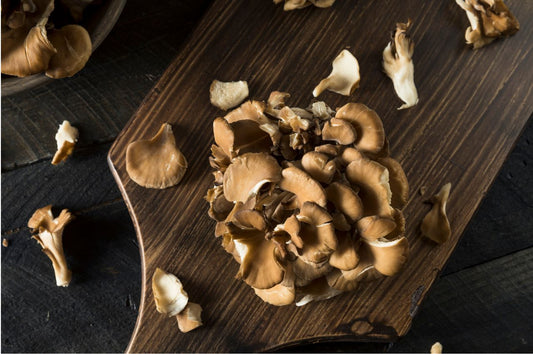 Maitake Mushrooms