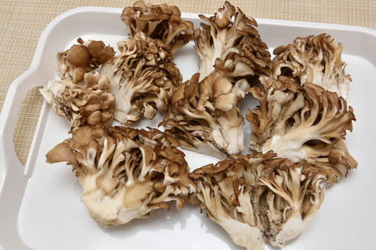 Maitake Mushrooms